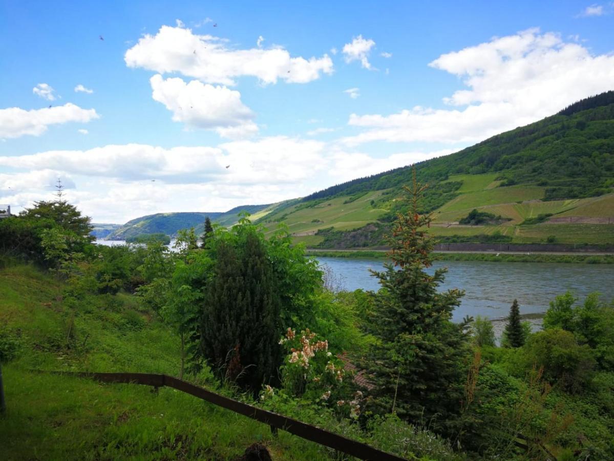 Trechtingshausen Wunderschoene Aussicht Garantiert מראה חיצוני תמונה