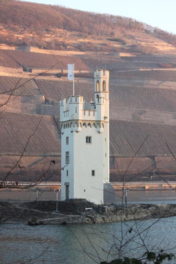 Trechtingshausen Wunderschoene Aussicht Garantiert מראה חיצוני תמונה