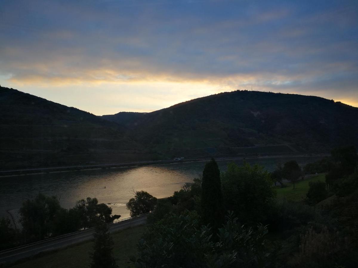Trechtingshausen Wunderschoene Aussicht Garantiert מראה חיצוני תמונה