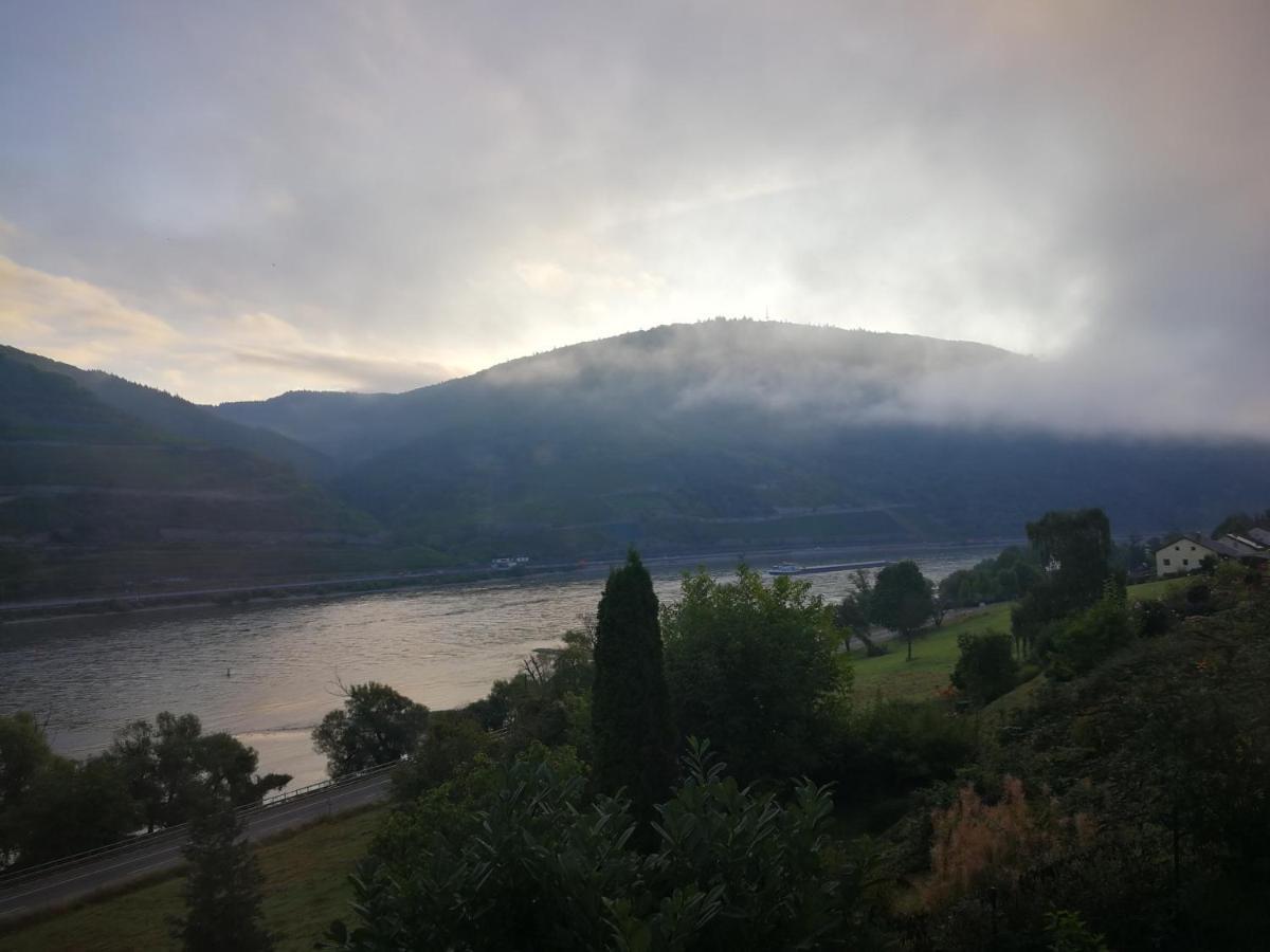Trechtingshausen Wunderschoene Aussicht Garantiert מראה חיצוני תמונה